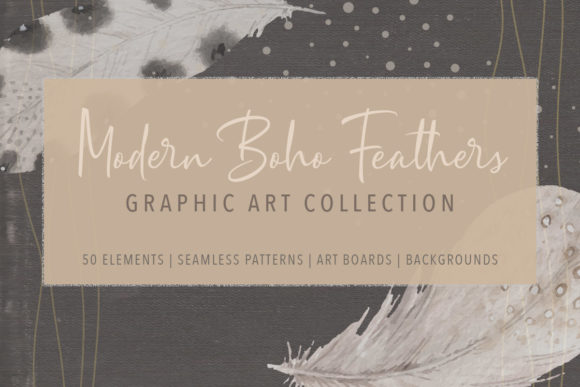 Download Modern Boho Feather Graphics Collection - Premium Resources
