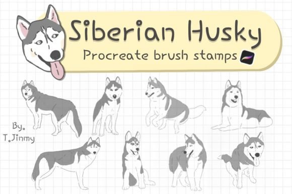 Download Siberian Husky Procreate Brush Stamps - Brush stamps Collection
